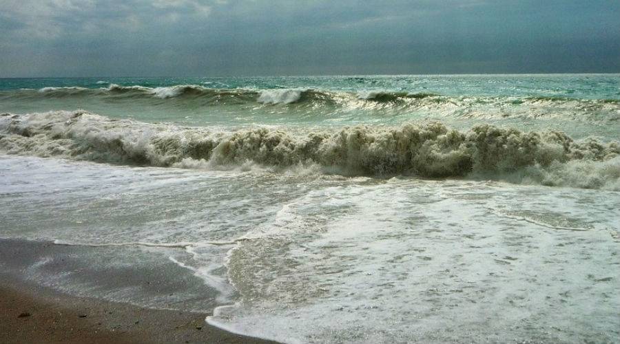 Отдых на море в Гаграх 