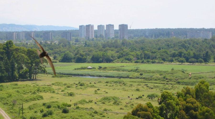 Посещение красивых мест и отдых в Пицунде 