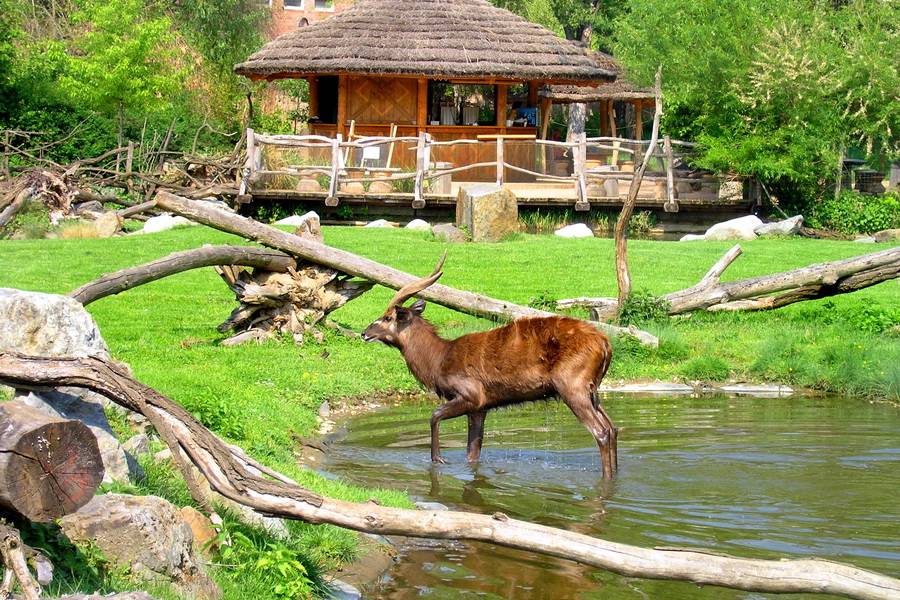 Достопримечательности Праги