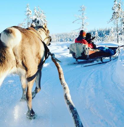 Чем заняться в Лапландии