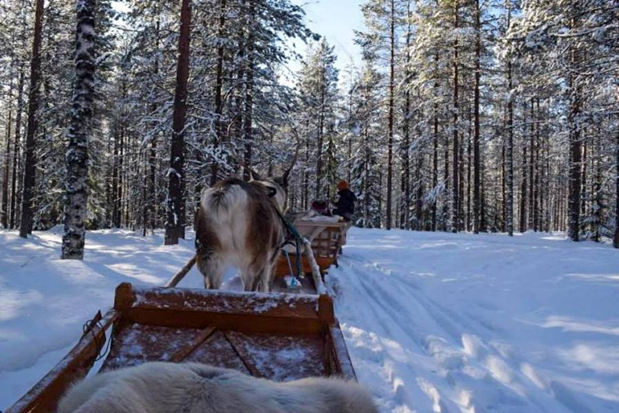 Активный отдых в Финляндии