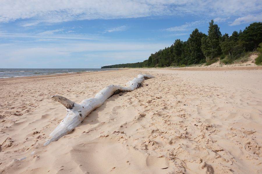 В Прибалтике каждый сможет выбрать пляжный курорт на свой вкус
