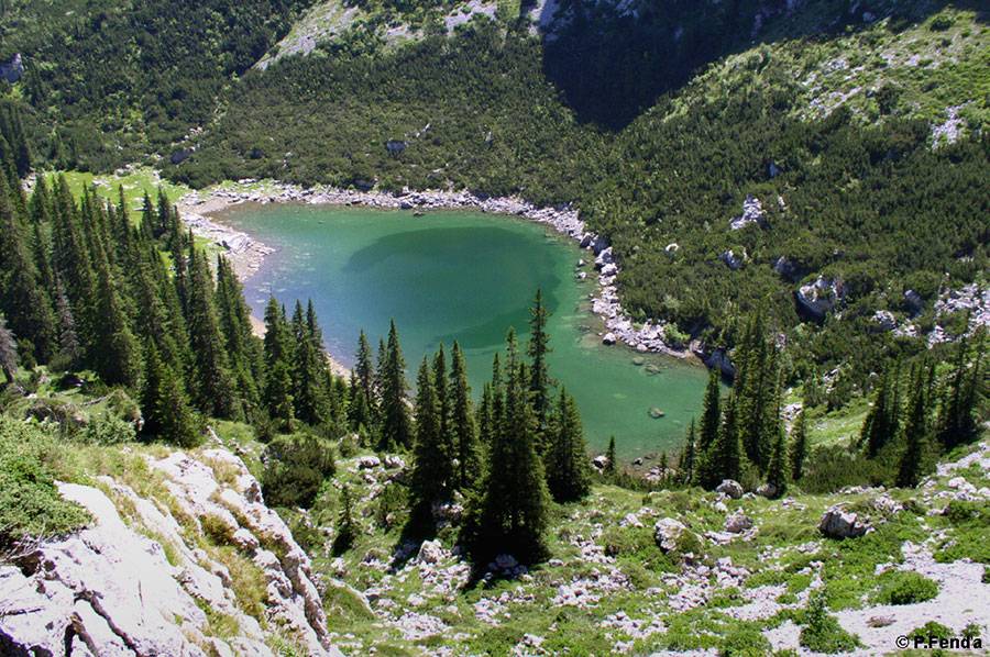 заповедник Дурмитор, Черногория